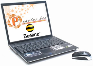 Пополнение счета Мгновенное прямое пополнение счета украинского оператора мобильной связи Beeline (Билайн)